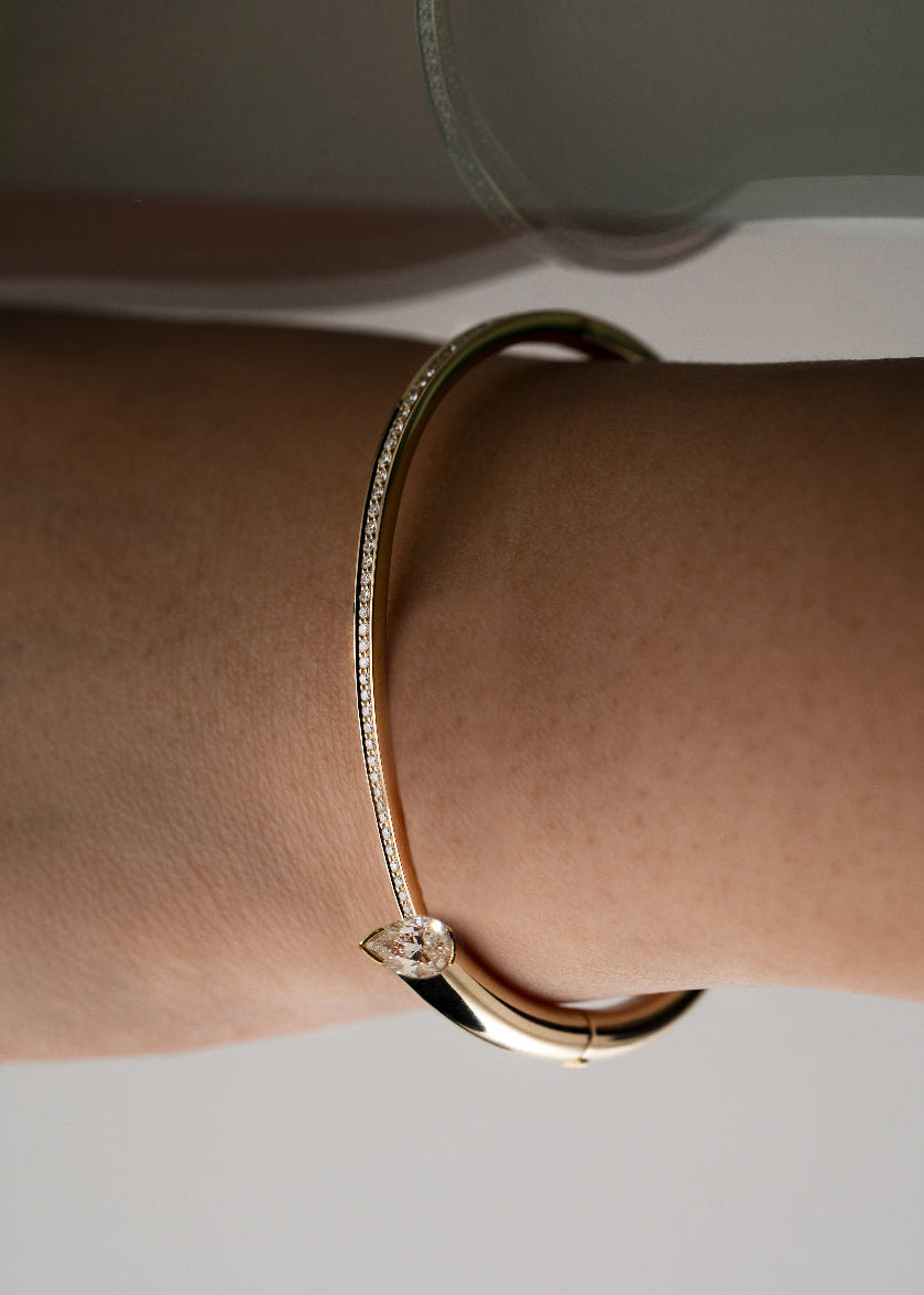 Bracelets (Smart)