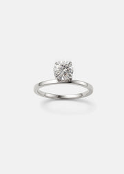 Brilliant Peak Ring