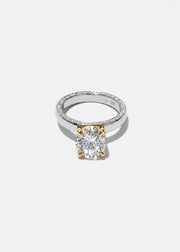 Diamond Oasis Peak Ring