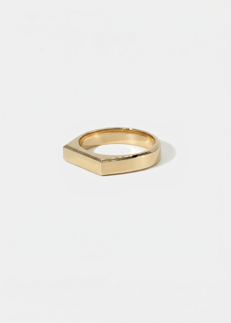 Mini Tour Signet Ring