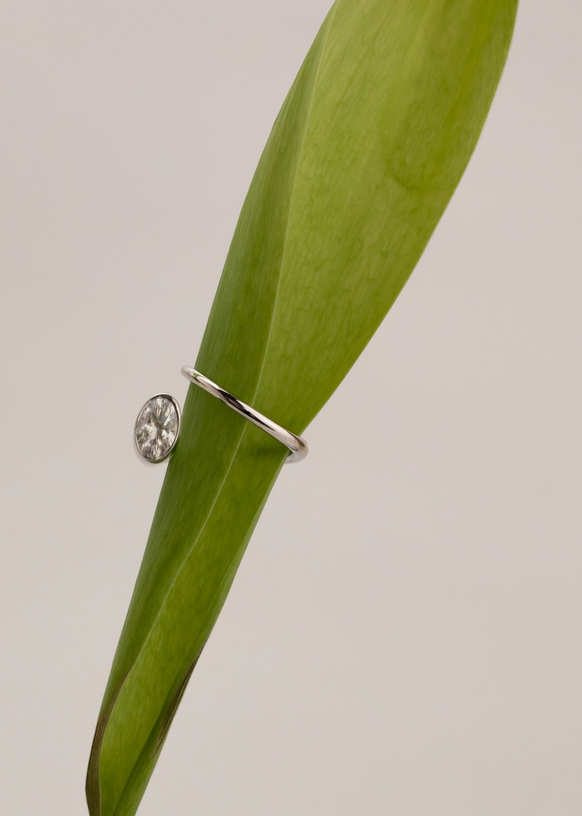 18k white gold Oval Crescendo Flare Ring with a floating oval diamond and tilted wrapping band wrapped around a green leaf.